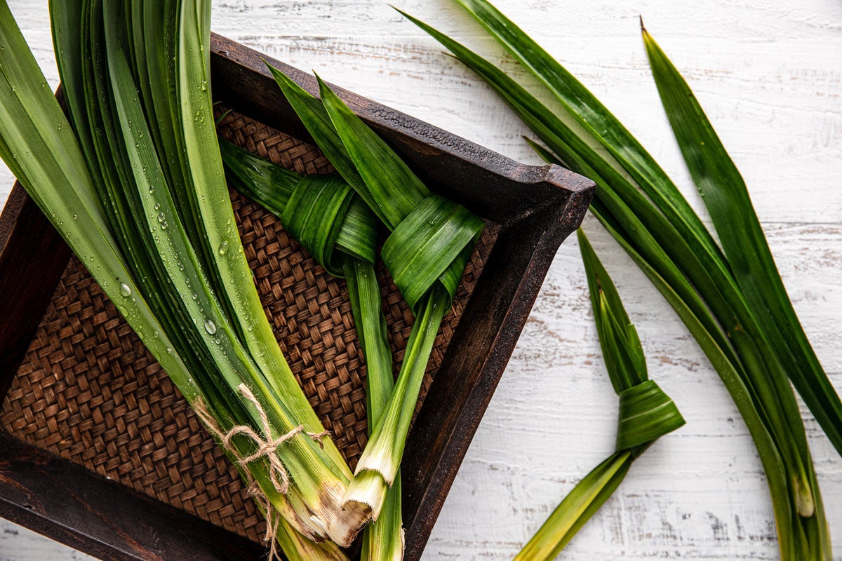 Pandan leaves