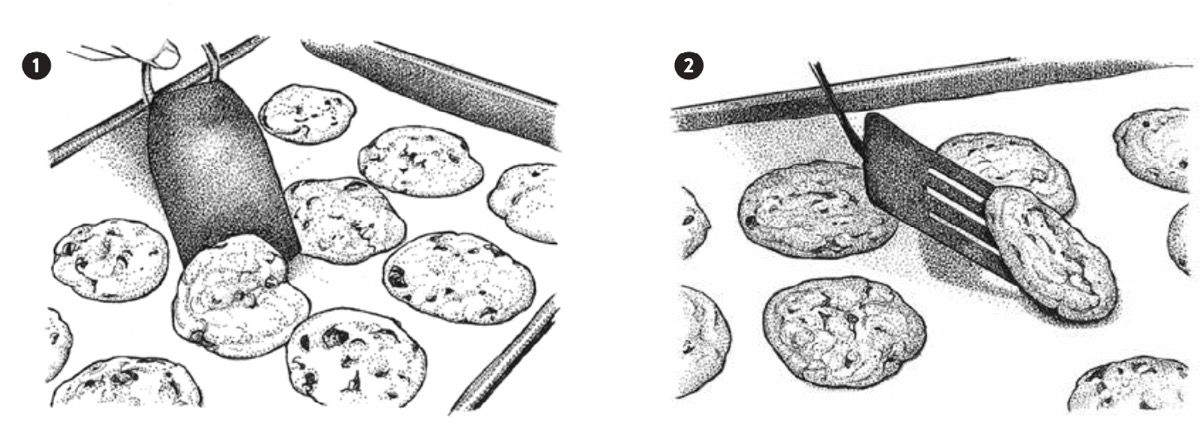 Hand-drawn illustration of cookies being lifted off a baking sheet with a spatula.