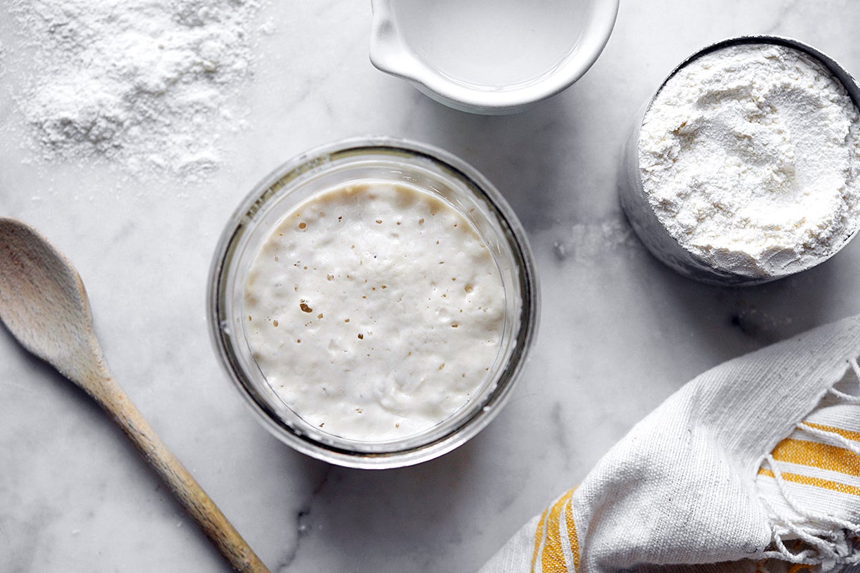 How to Feed a Sourdough Starter - Dirt and Dough