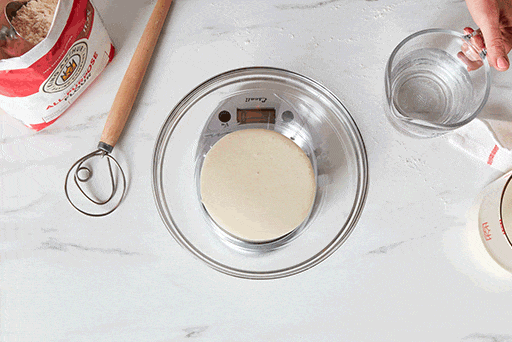 Feeding and Maintaining Your Sourdough Starter – Step 1
