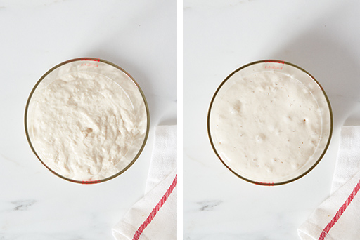 Feeding and Maintaining Your Sourdough Starter – Step 2