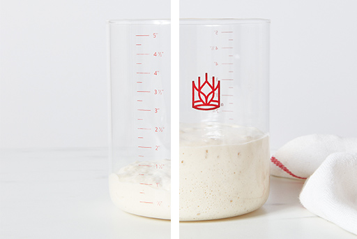 Feeding and Maintaining Your Sourdough Starter – Step 7