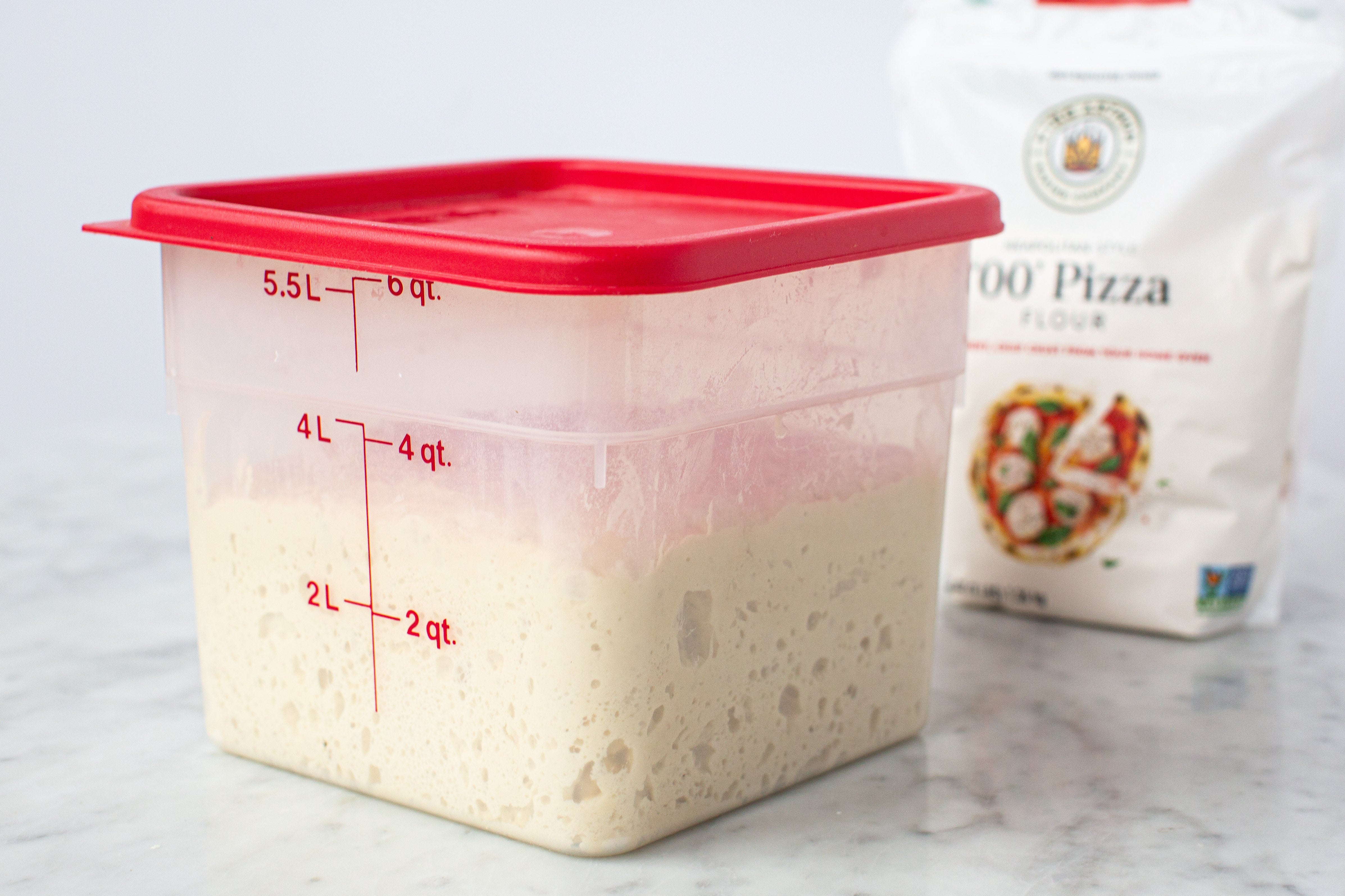 Bulk Food Storage Containers for Large Quantities of Flour, Oil