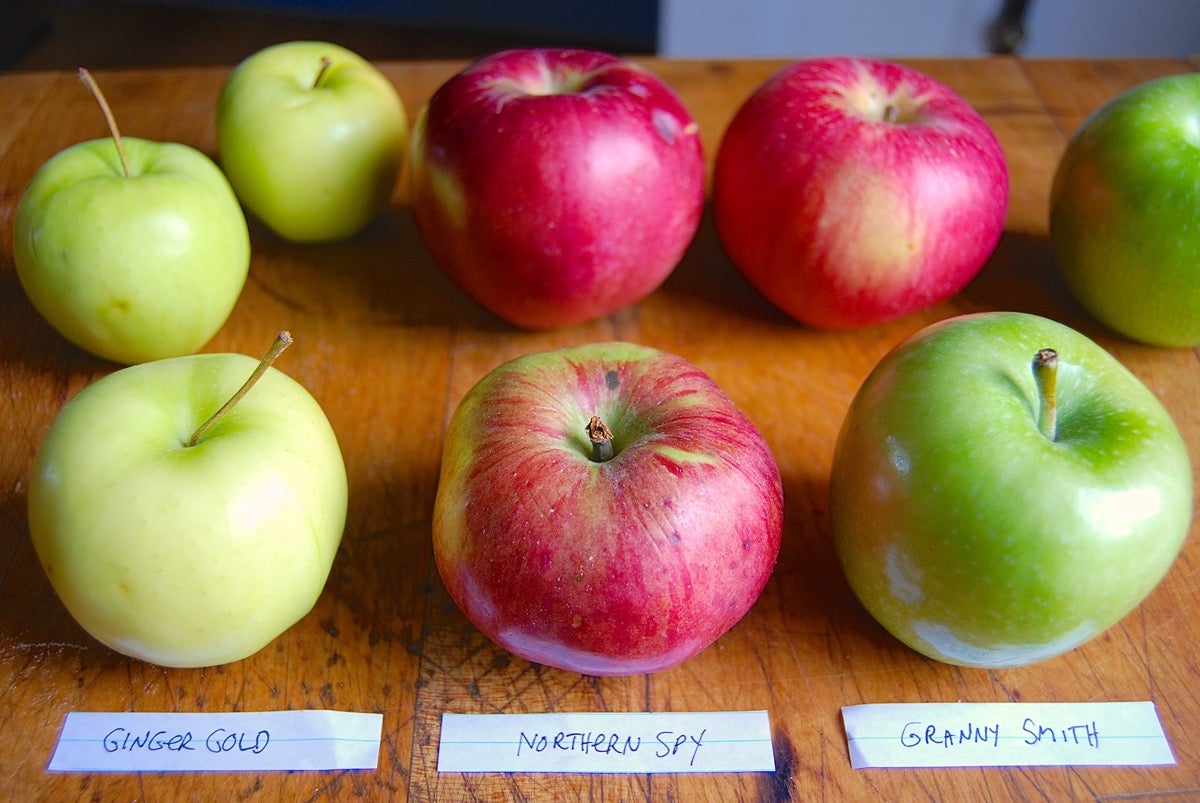 Granny Smith - New England Apples