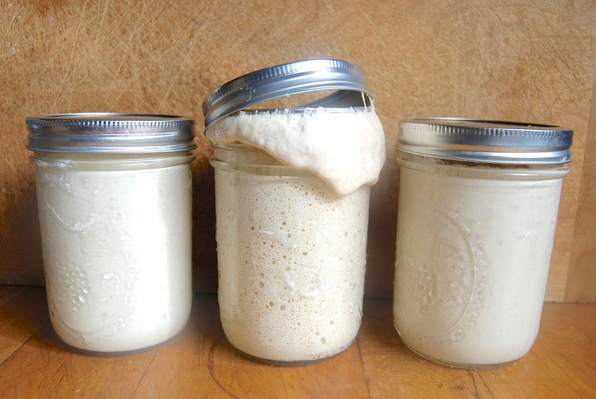 Nancy Silverton's Grape Sourdough Starter