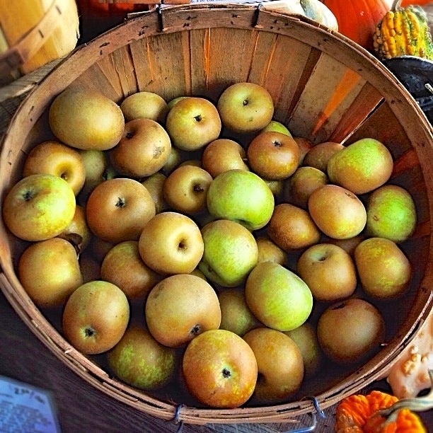 GRANNY SMITH APPLES FRESH PRODUCE FRUIT PER POUND