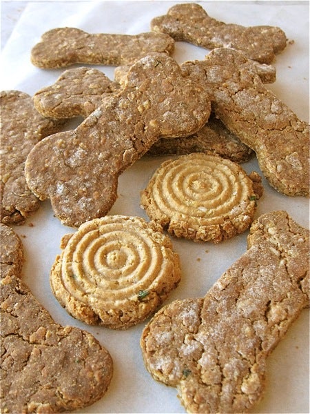 Taste testing our Best of Breed Dog Biscuits King Arthur Baking