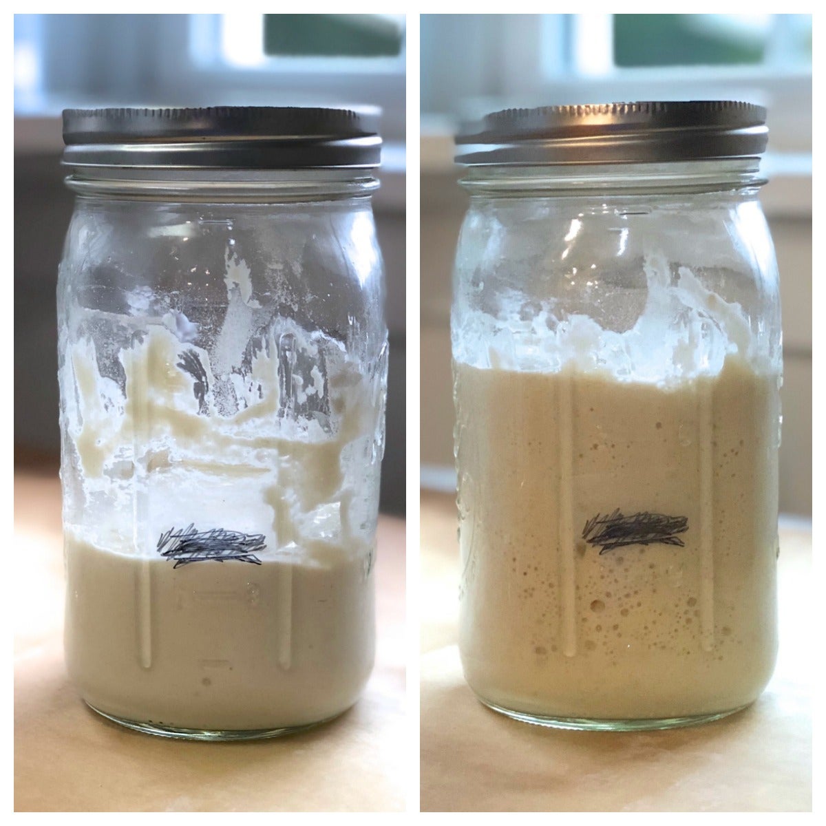 Maintaining a Sourdough Starter