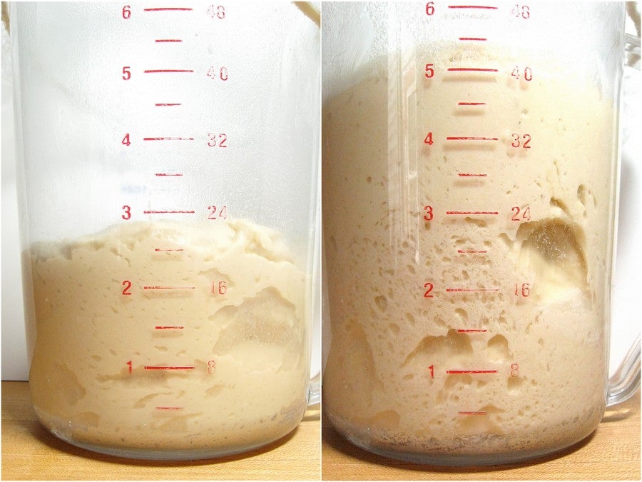 This measuring cup from Ikea is the best starter container I've found :  r/Sourdough