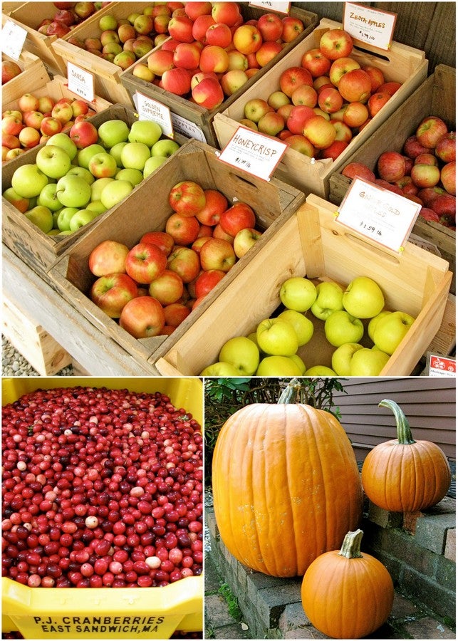 Easy Whole Grain PumpkinBanana Bread King Arthur Baking