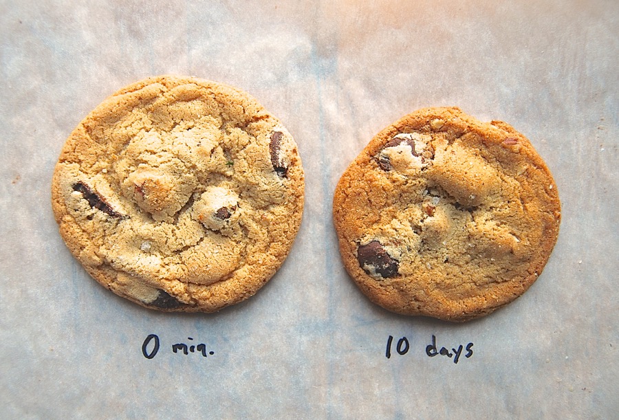 Test: chilling cookie dough @ via kingarthurflour