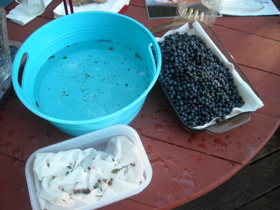 wild blueberry pie  via@kingarthurflour