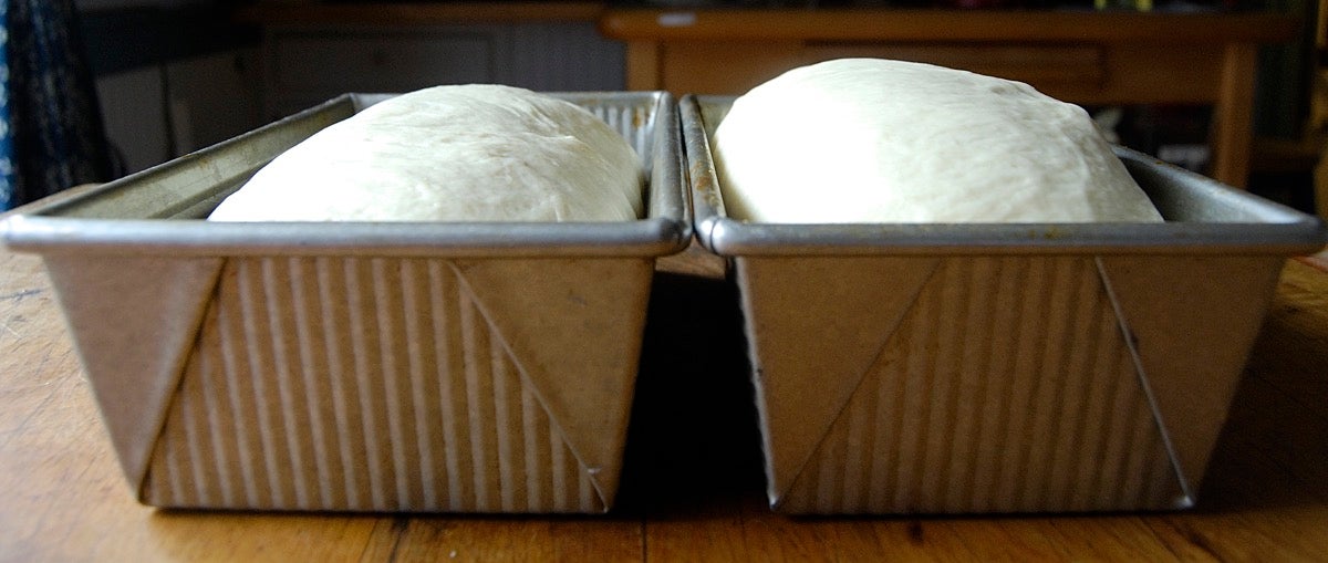 Which Bread Pan is Right For Me