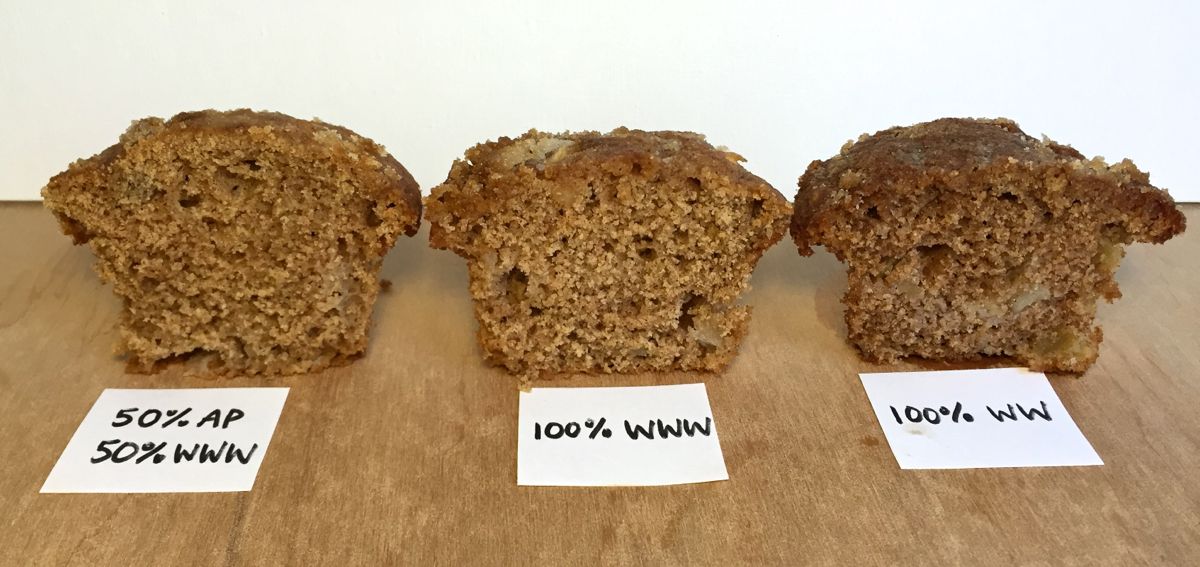 Apple muffins via @kingarthurflour