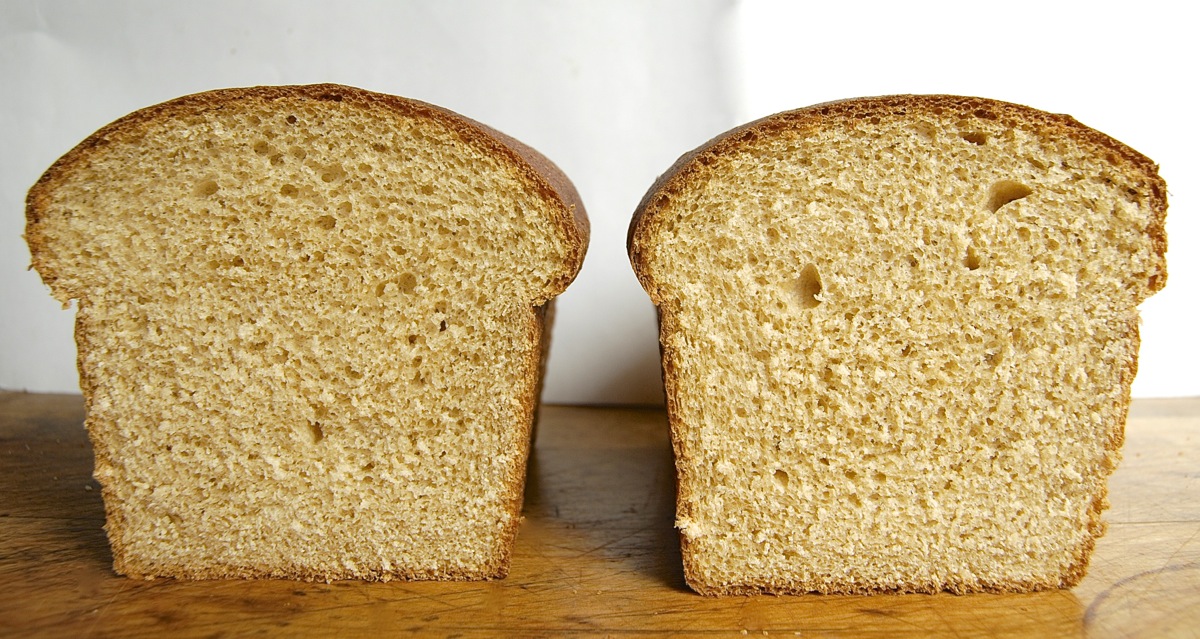 Bread Flour-11