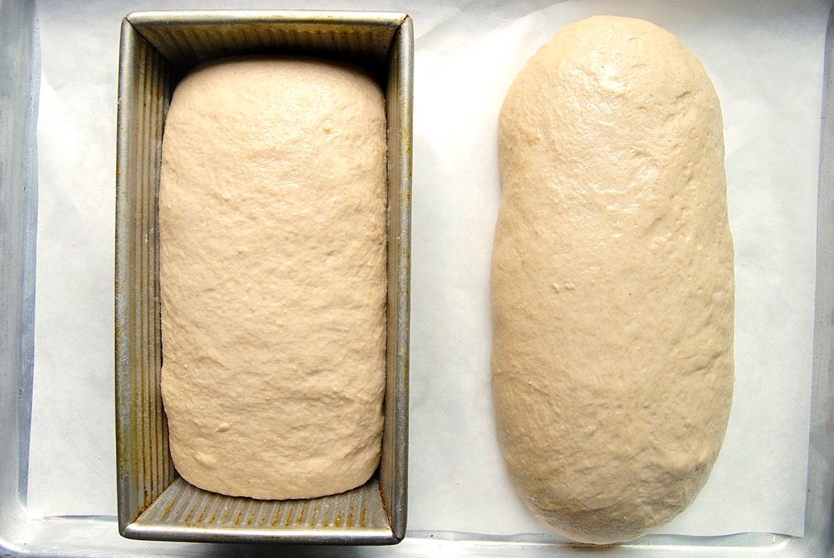 Everyday Whole-Grain Bread Bakealong via @kingarthurflour