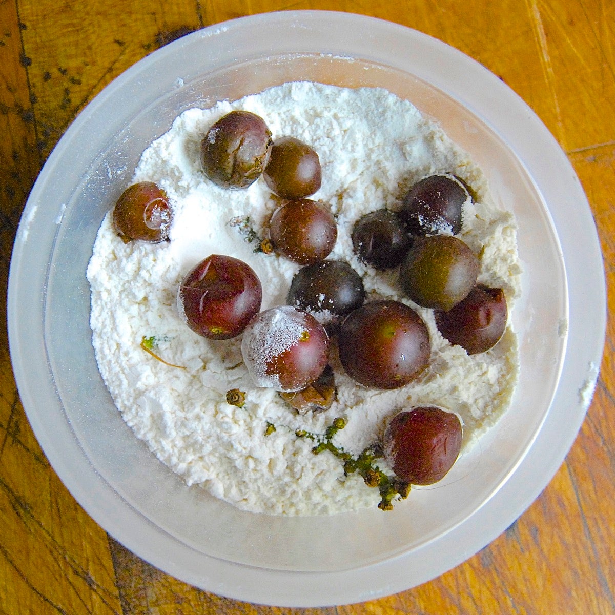 Grape sourdough starter via @kingarthurflour