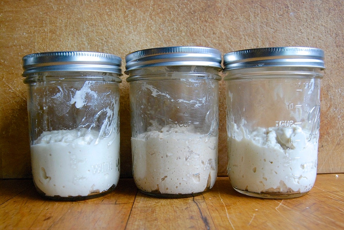 Grape sourdough starter via @kingarthurflour