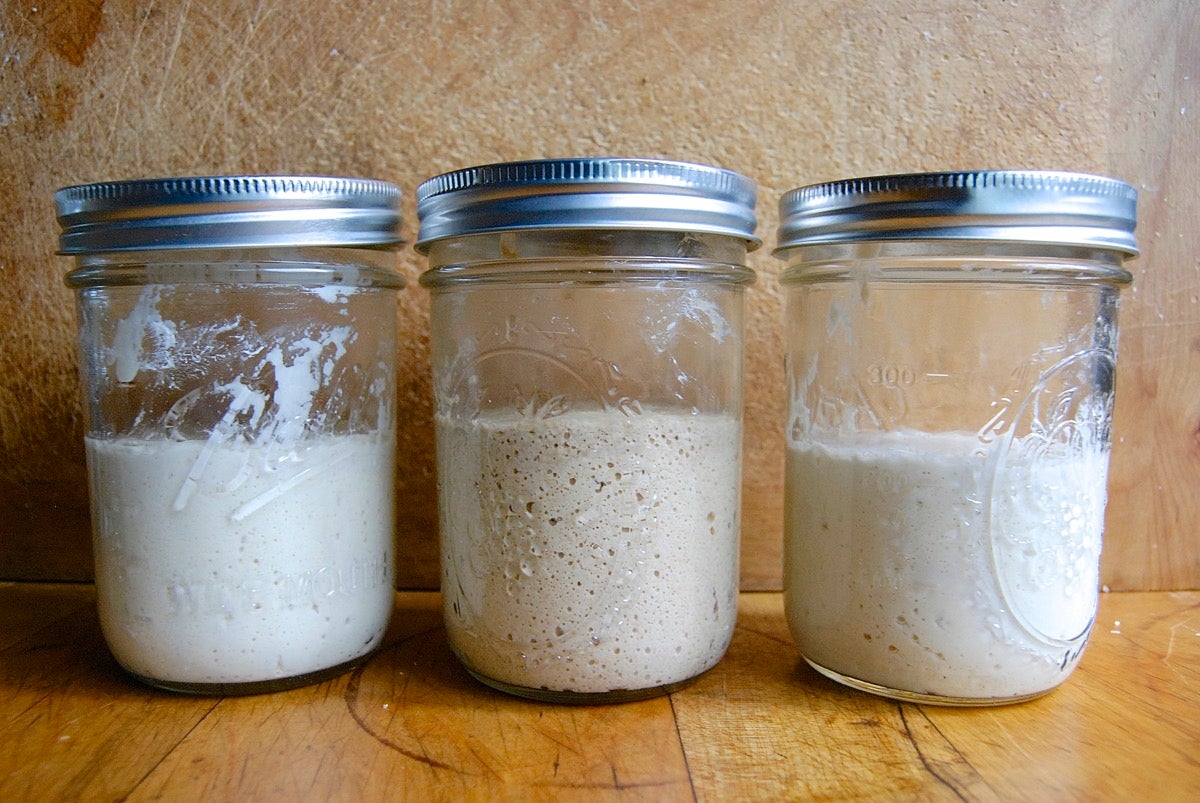 Grape sourdough starter via @kingarthurflour