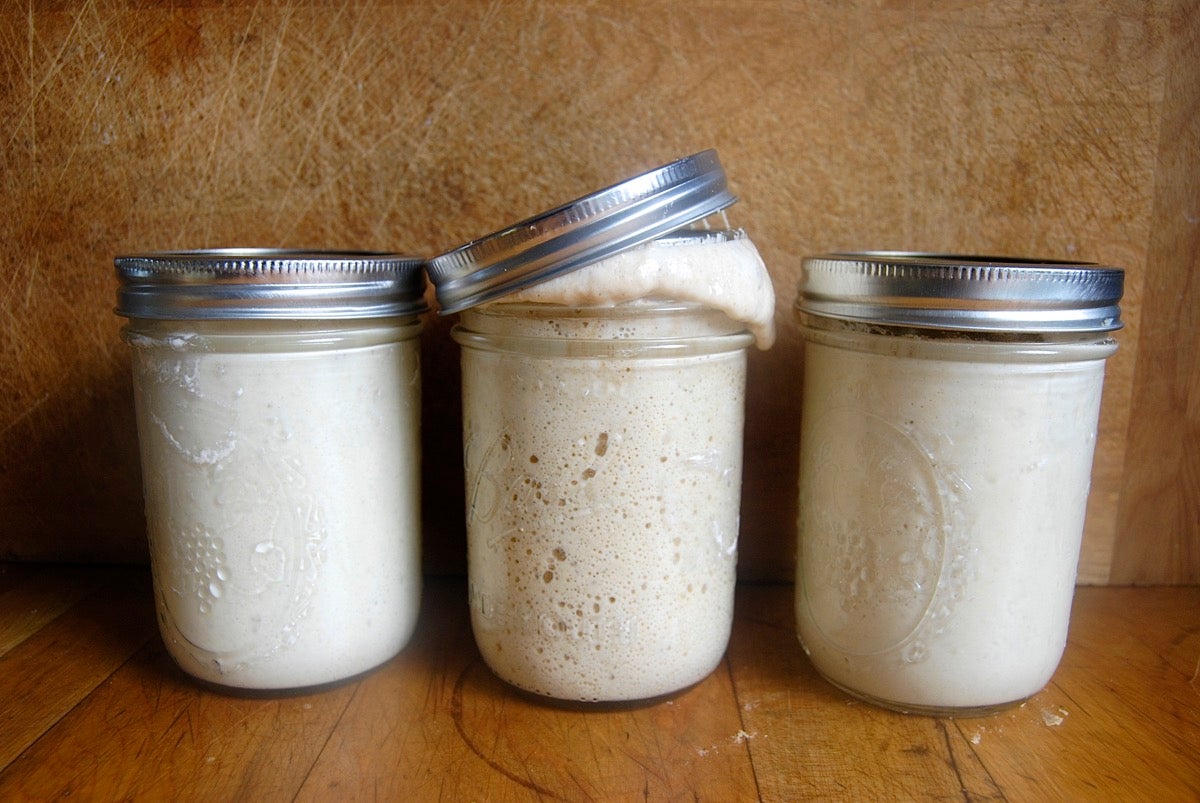 Grape sourdough starter via @kingarthurflour