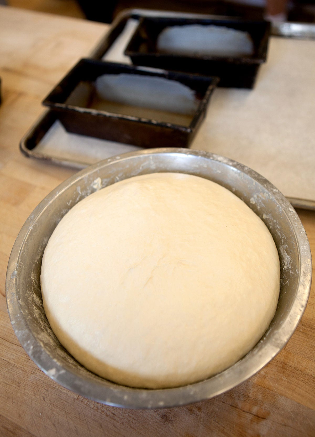 Levain for sandwich bread via @kingarthurflour