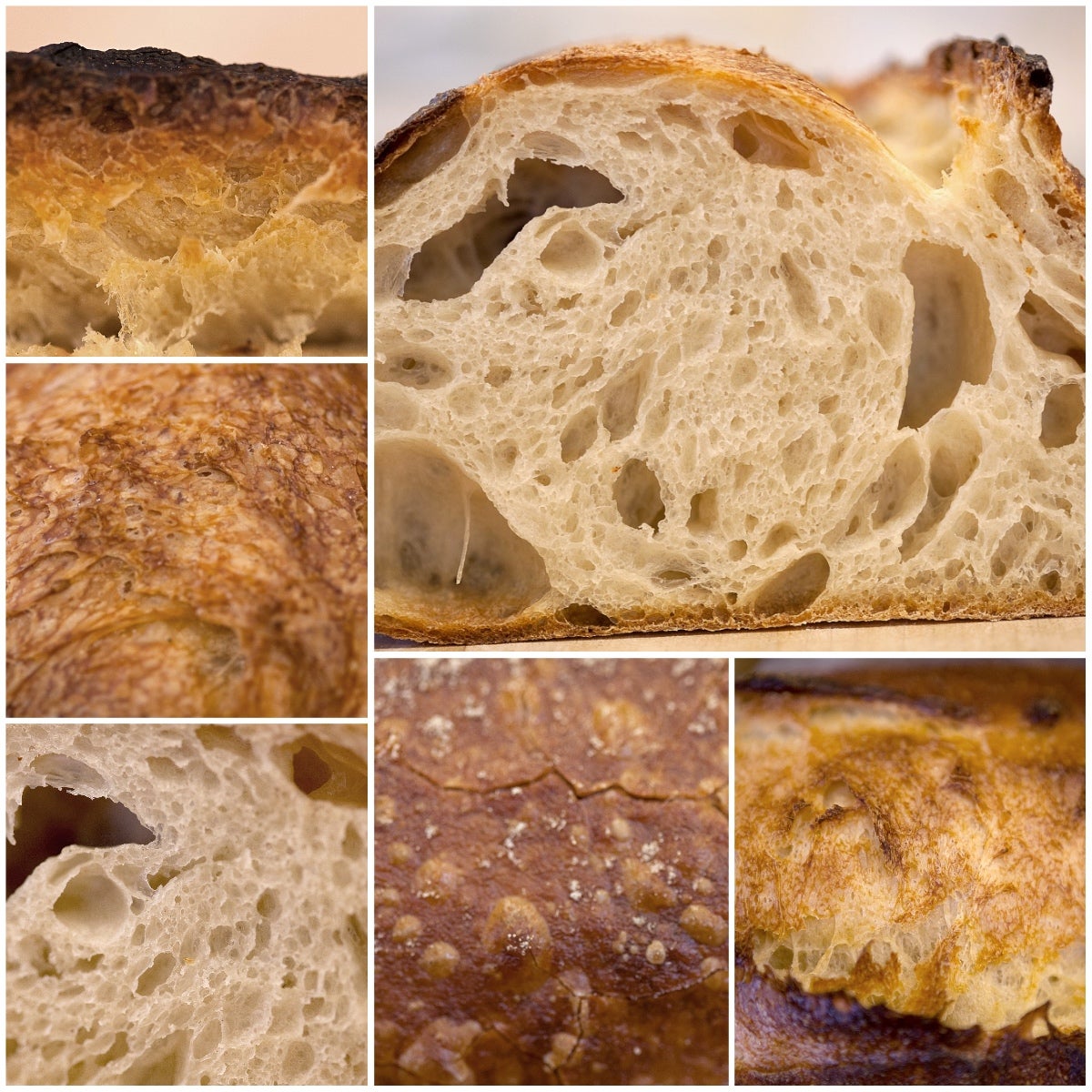 Steam in bread baking-17