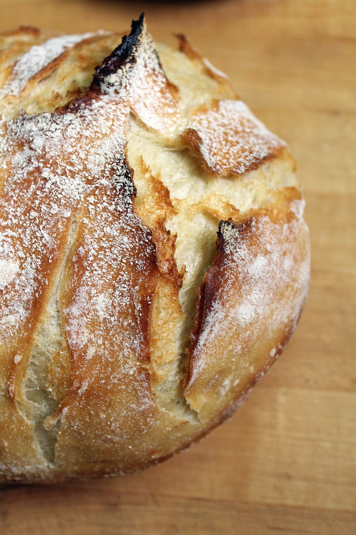 Dutch Oven Baking - Atta Durum Flour and K.A. Bread Flour