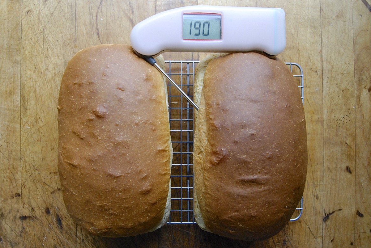 lont Toestand Eigendom Using a thermometer with yeast bread | King Arthur Baking