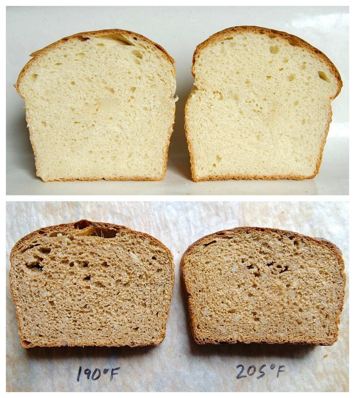 Using a thermometer with yeast bread