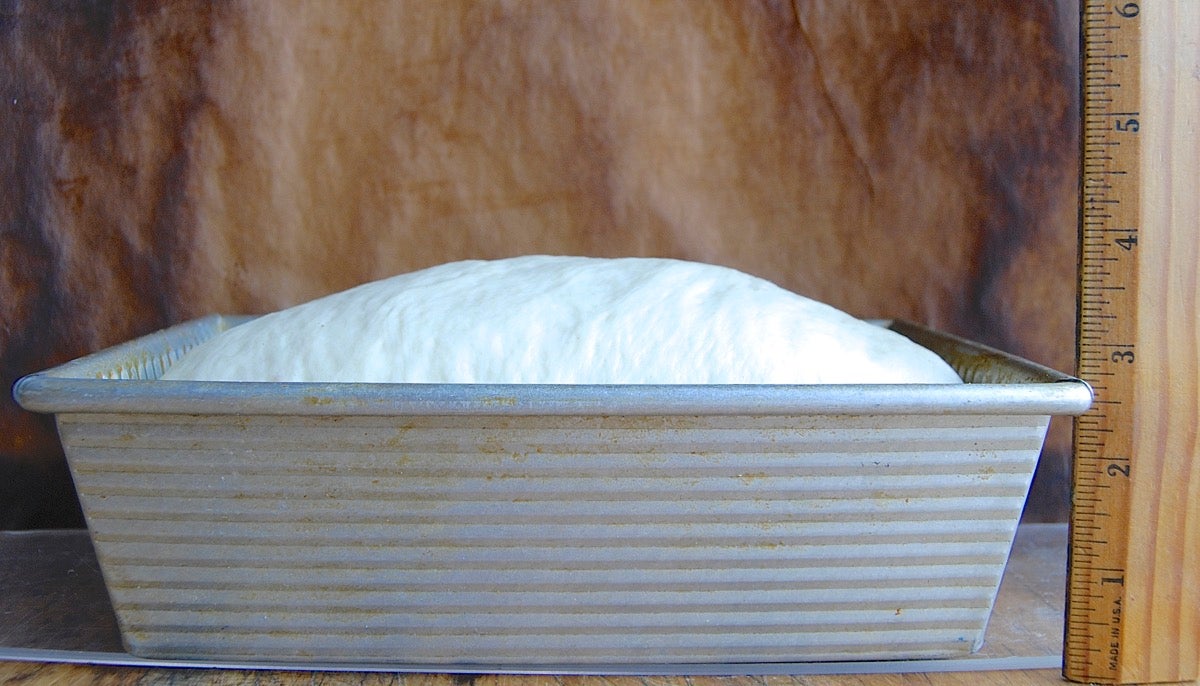 Over-proofed dough via @kingarthurflour