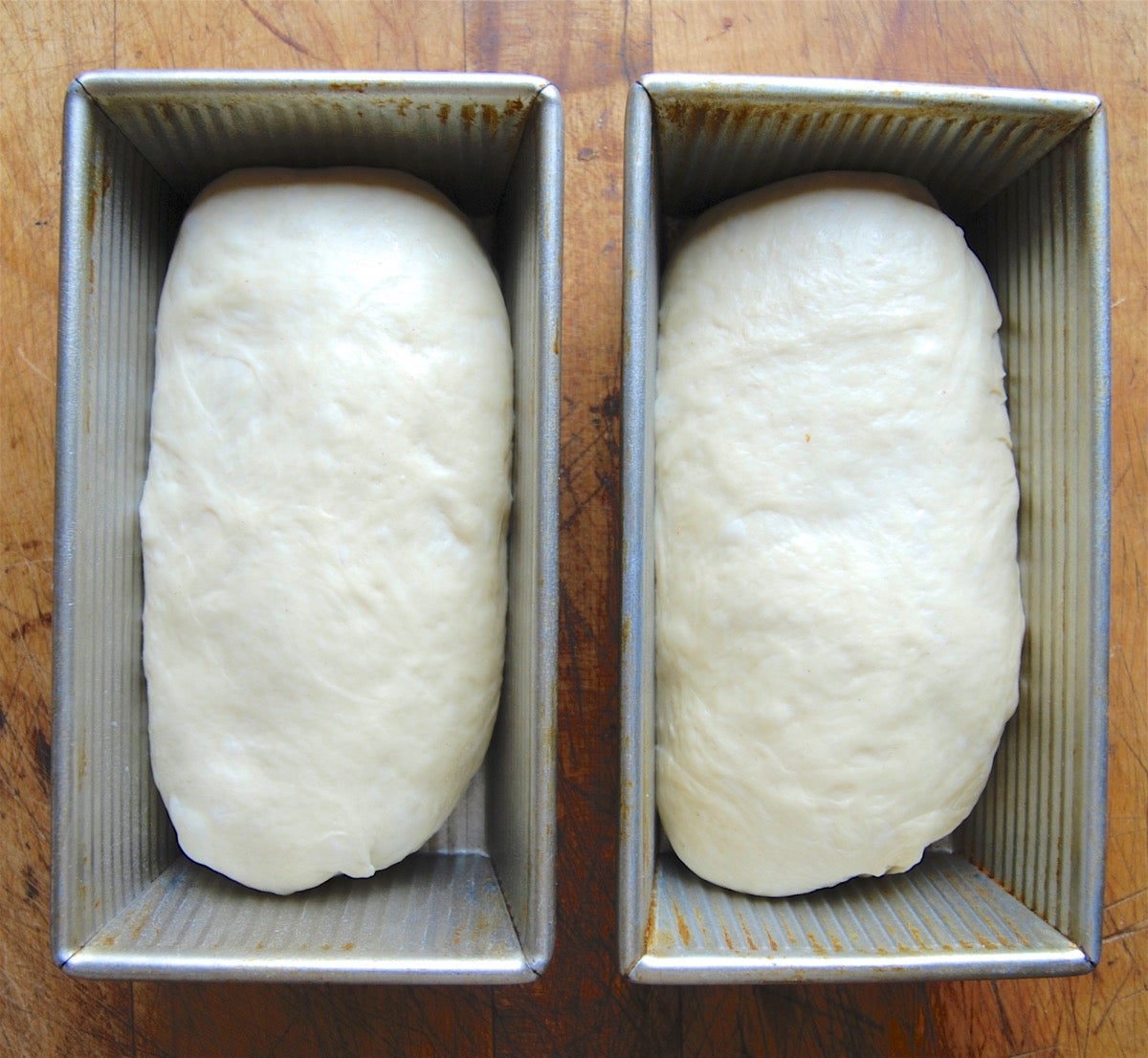 Over-proofed dough via @kingarthurflour