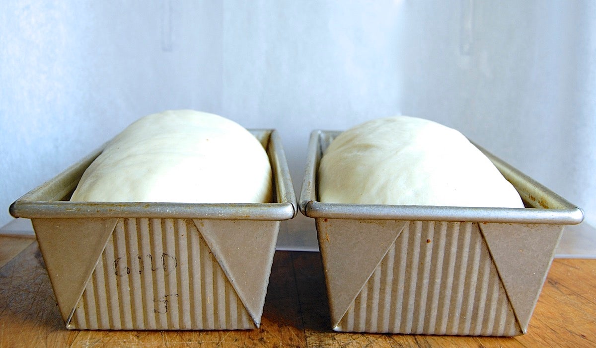 Over-proofed dough via @kingarthurflour