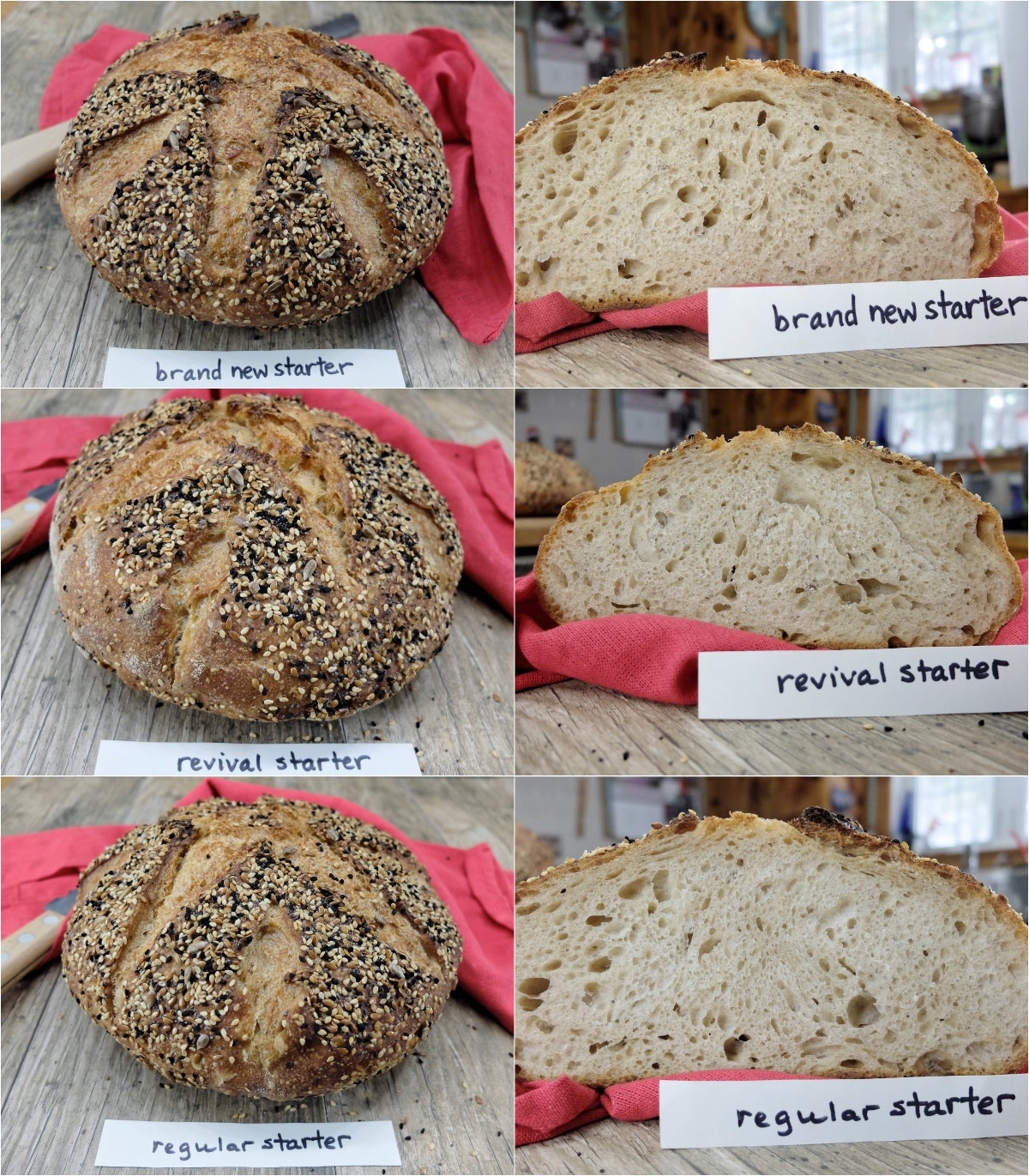 Sourdough Bread Troubleshooting: Fix Common Baking Issues