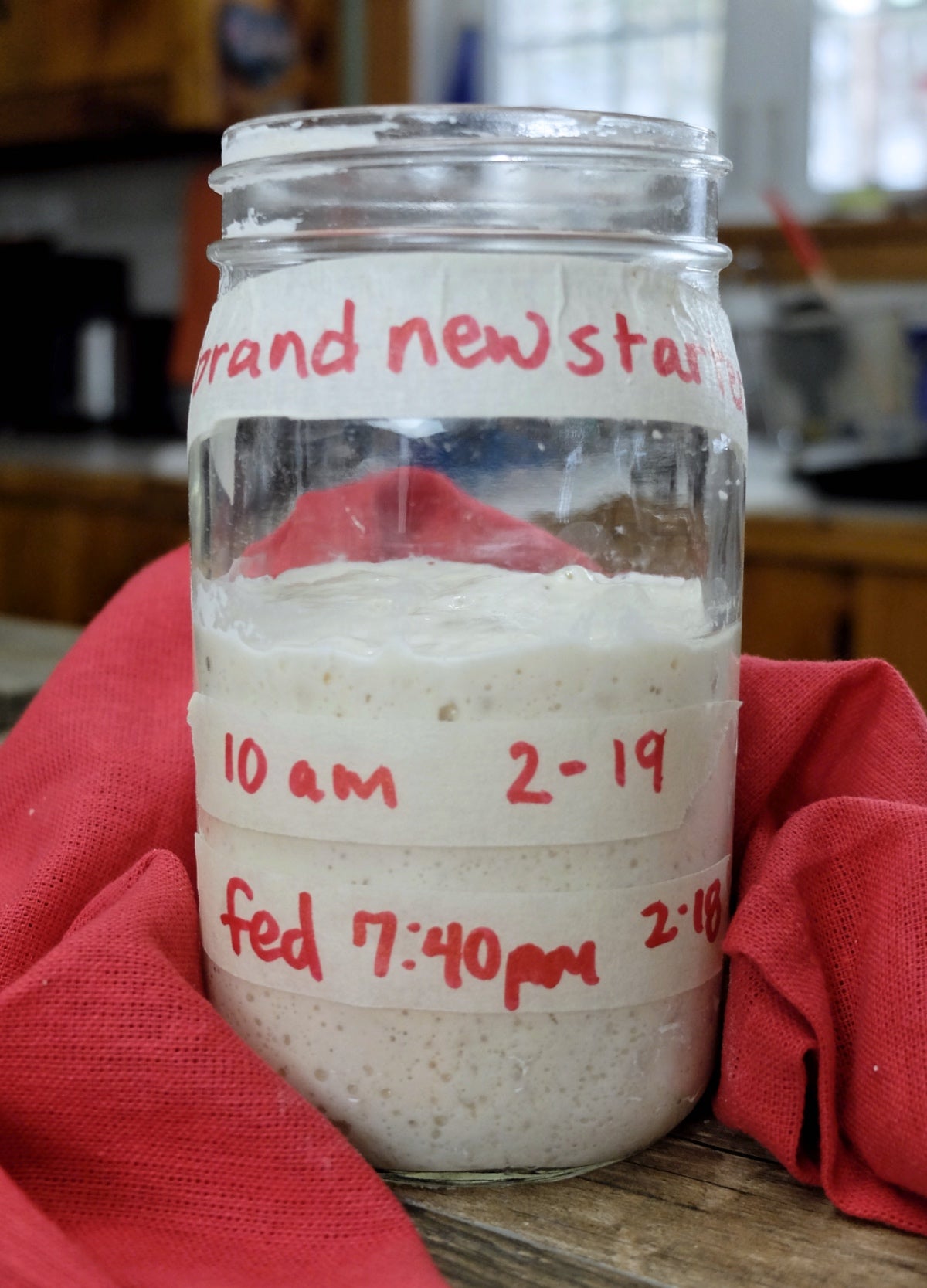 Sourdough Starter Troubleshooting, part 2 via @kingarthurflour