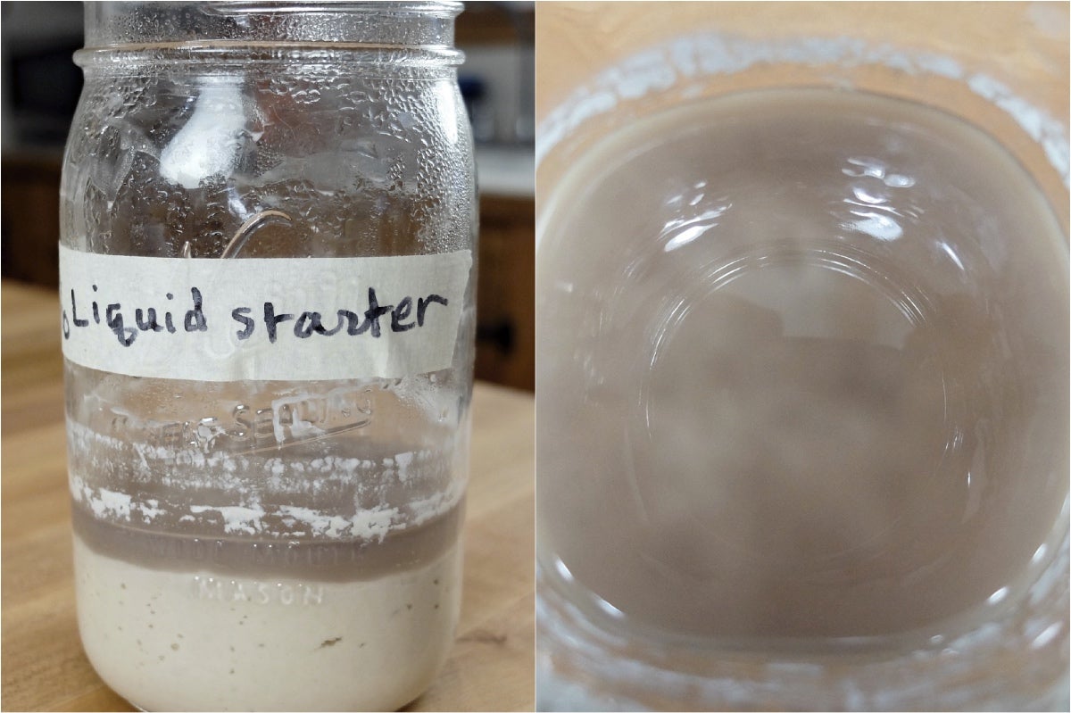 Sourdough Starter Troubleshooting, part 2 via @kingarthurflour