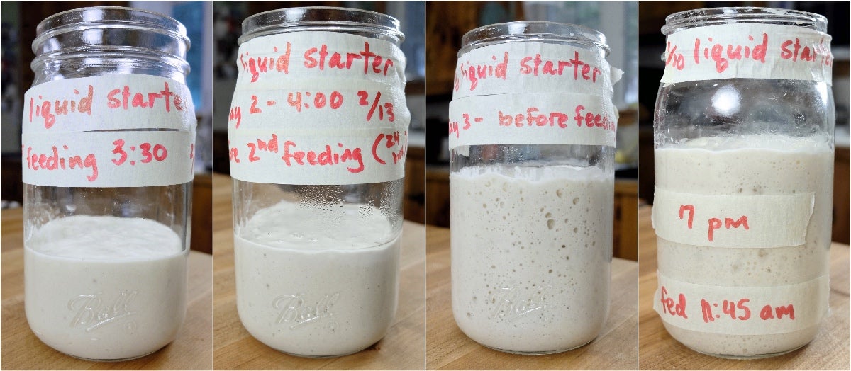 Sourdough Starter Troubleshooting, part 2 via @kingarthurflour