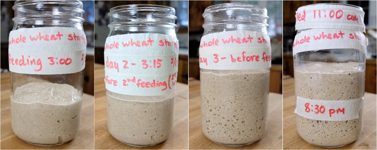 Sourdough Starter Troubleshooting, part 2 via @kingarthurflour