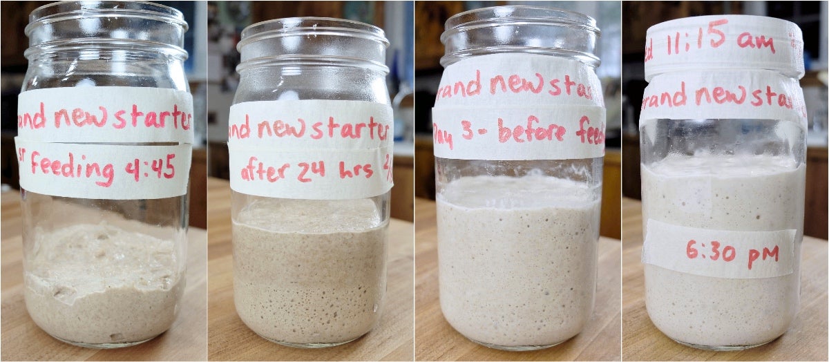 Sourdough Starter Troubleshooting, part 2 via @kingarthurflour