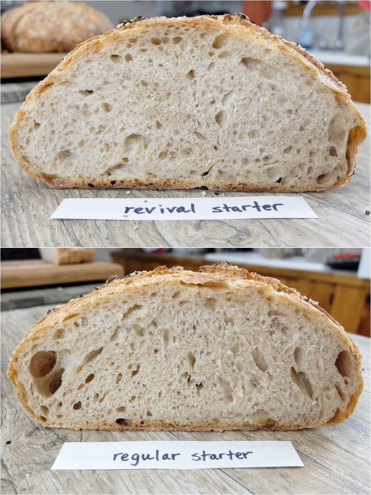 Sourdough Starter Troubleshooting, part 2 via @kingarthurflour