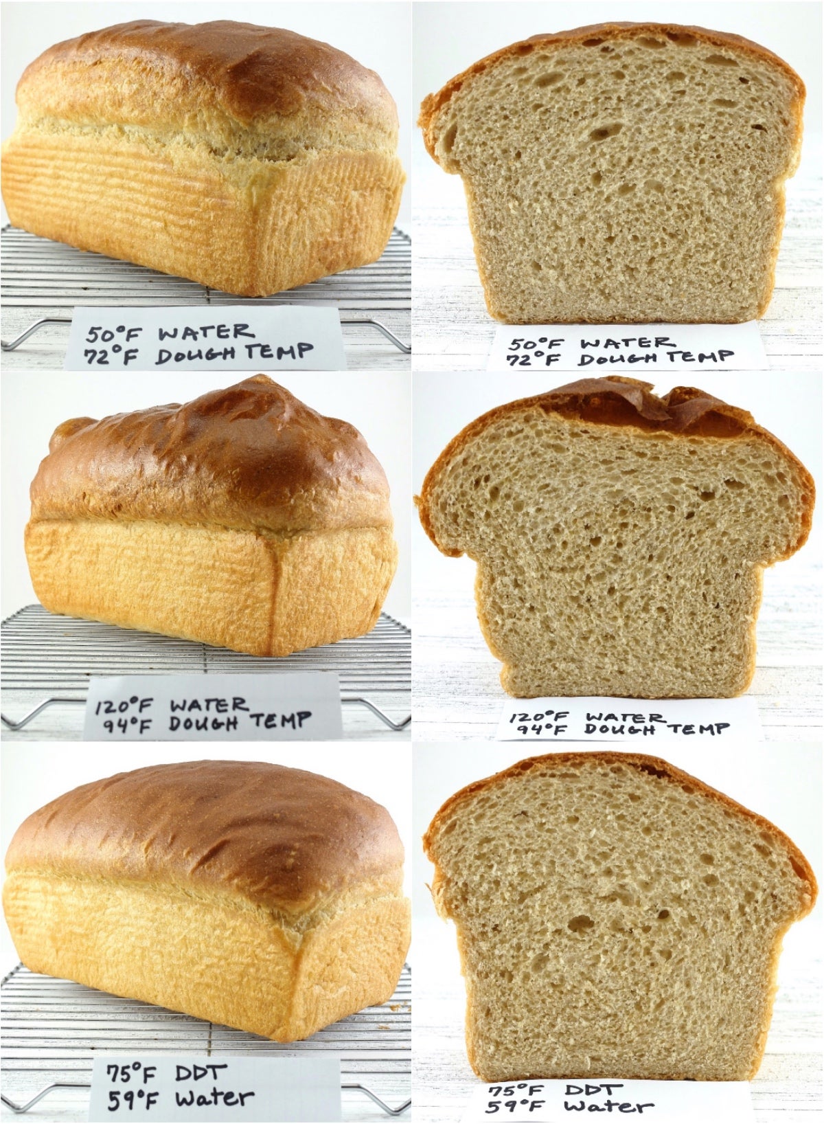 Baking Temperature Comparison