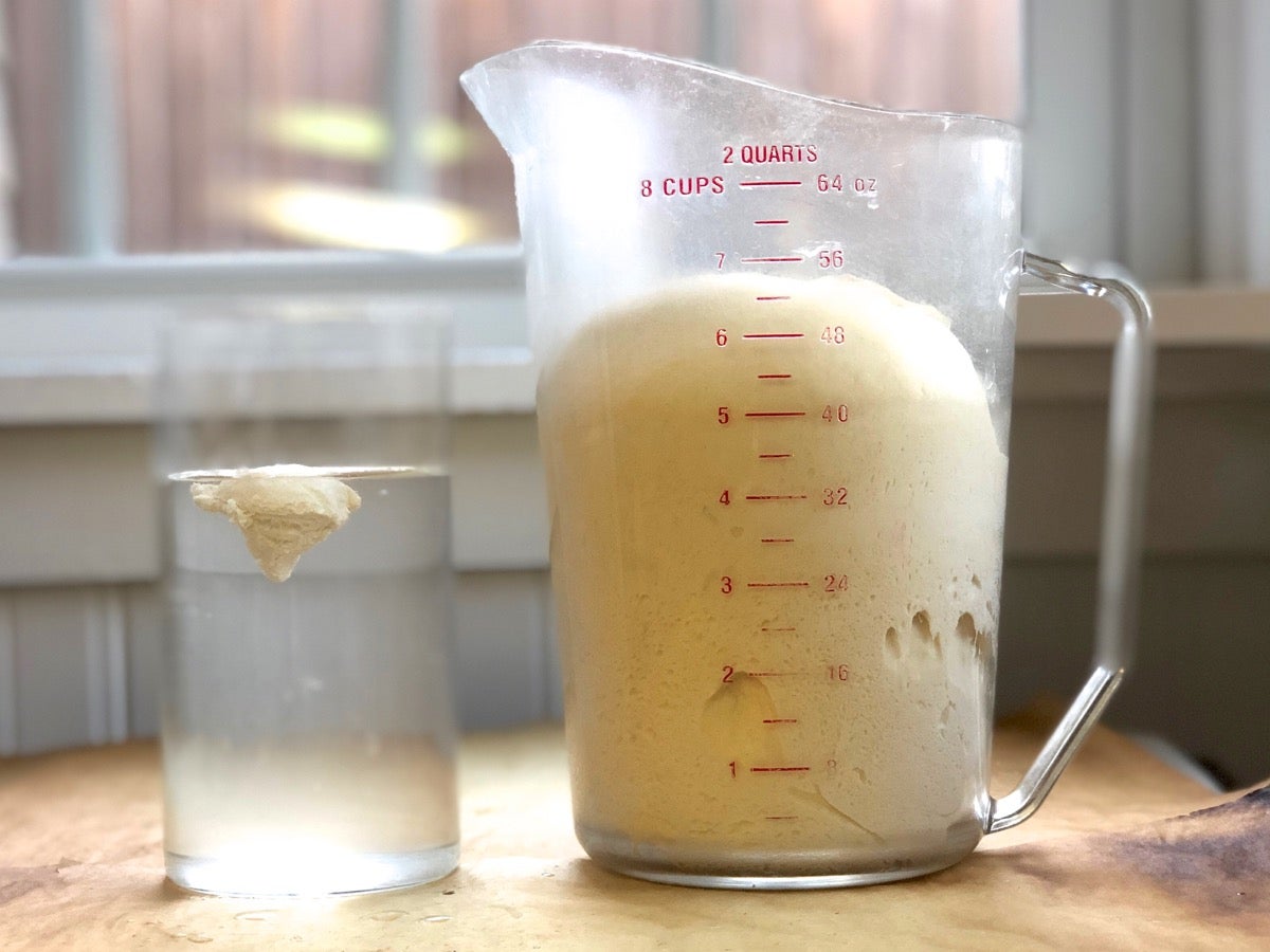 Float test for yeast dough sourdough starter via @kingarthurflour