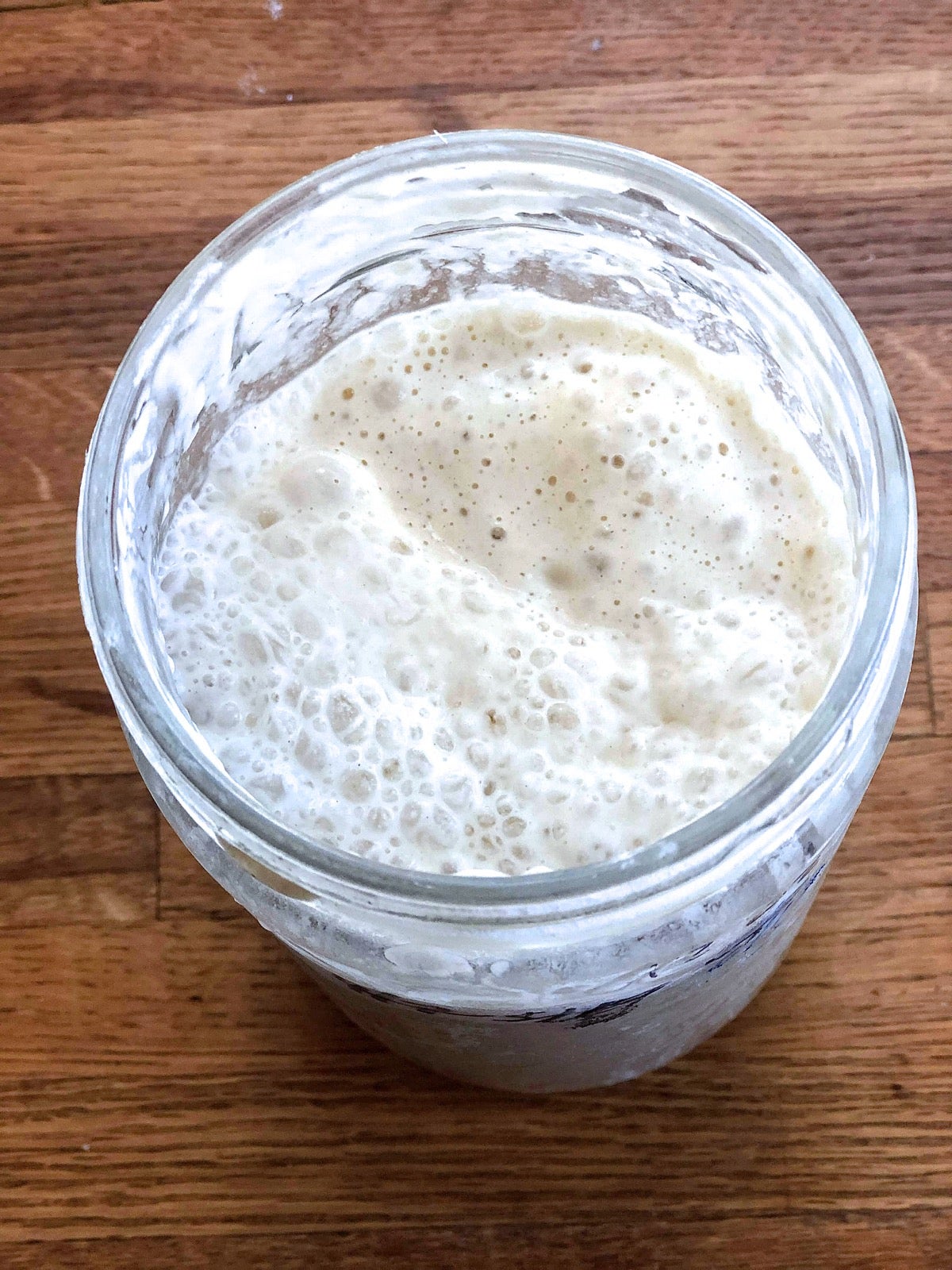 Jar of active, bubbly sourdough starter.