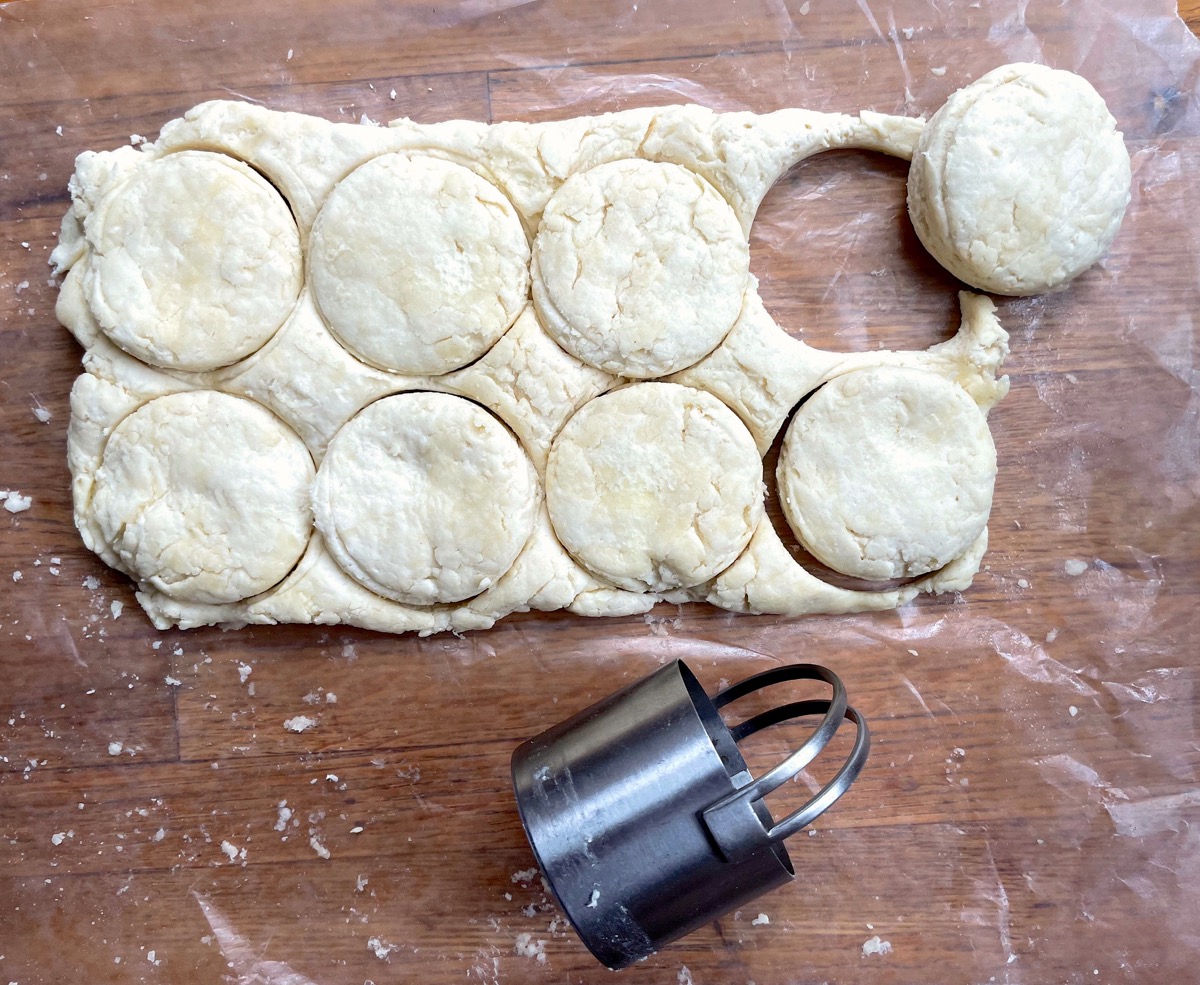 rectangle of biscuit dough cut into 2" rounds using a biscuit cutter.