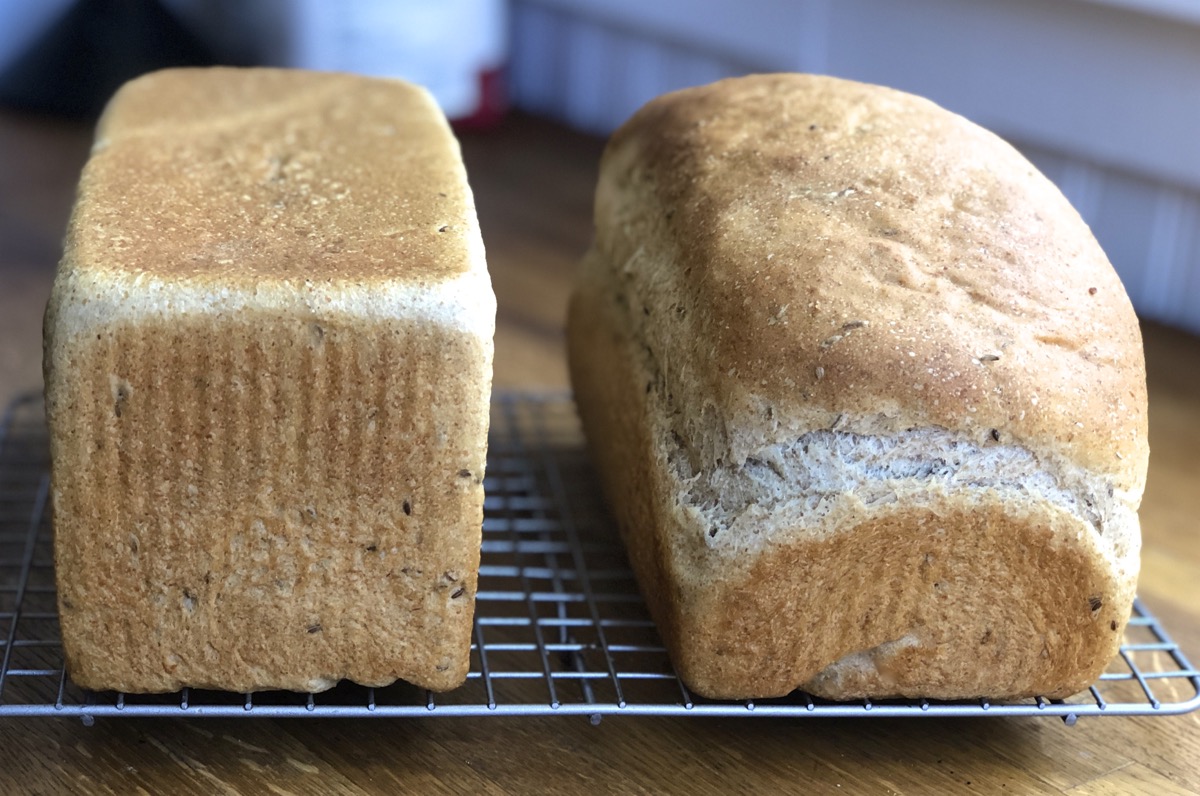 Two rye bread loaves side by side: one from a pain de mie pan, one from a standard pan