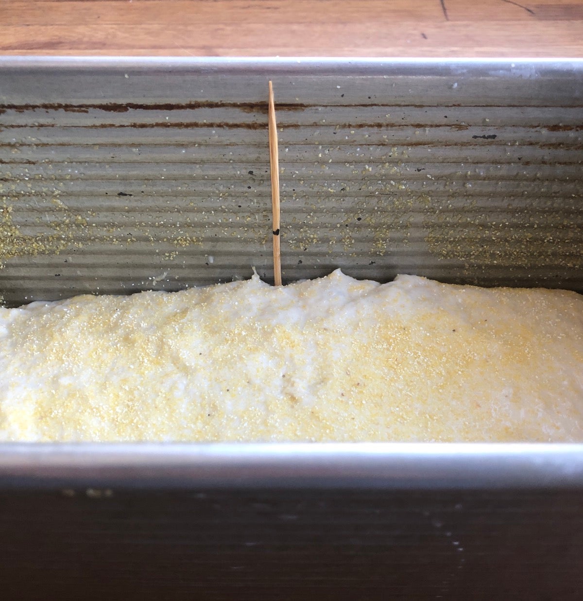 Rising bread dough in a pan, with a toothpick marking the dough's starting point, pre-rise.