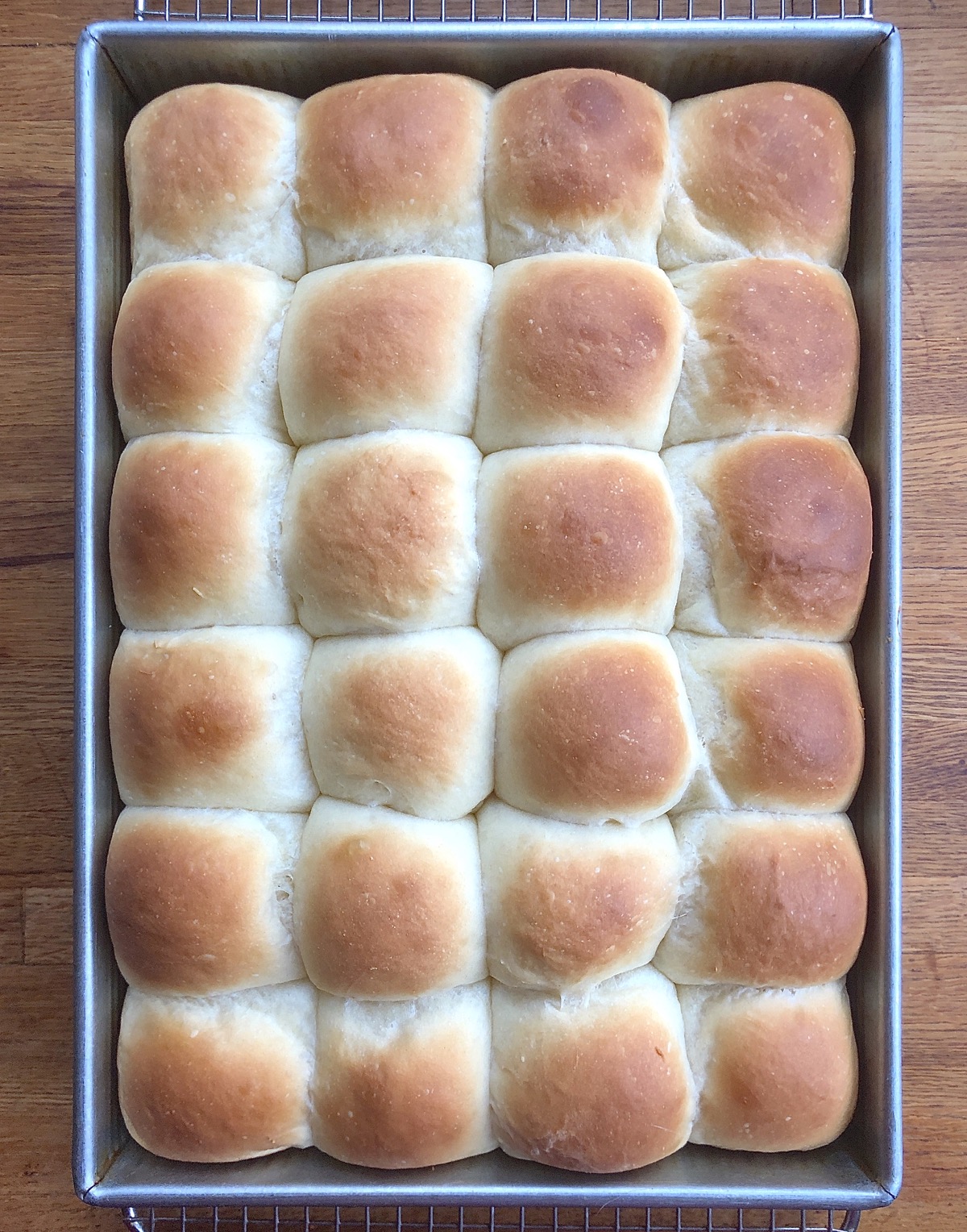 Amish Dinner Rolls hot from the oven, in their pan set on a cooling rack.