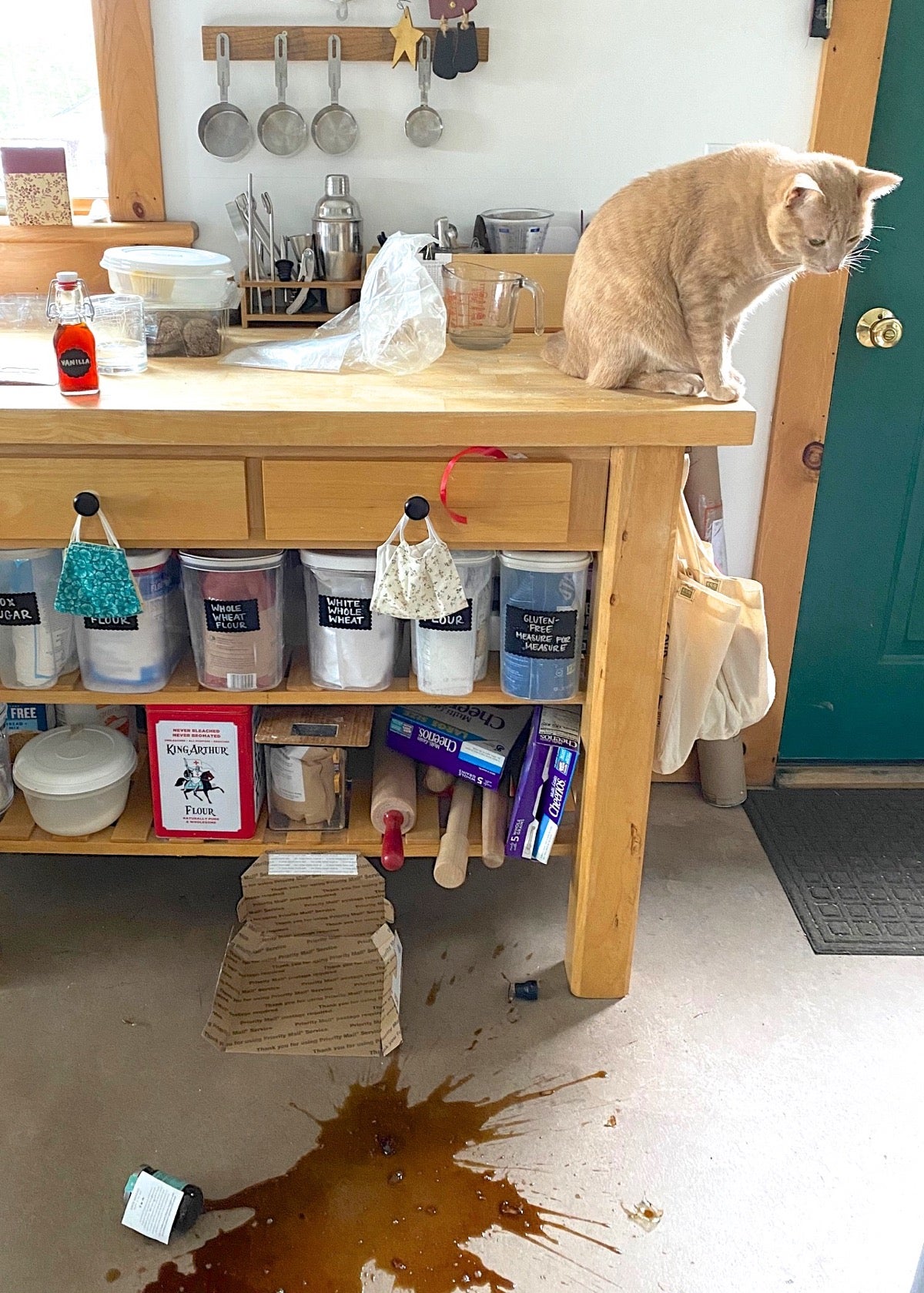 Kitchen counter with ingredients, Felix the cat sitting on the counter having knocked a bottle of vinegar onto the floor, where it smashed.