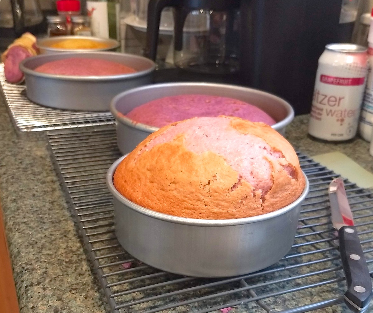 Four layers of cake in round cake pans, one blown way up tall compared to the others.