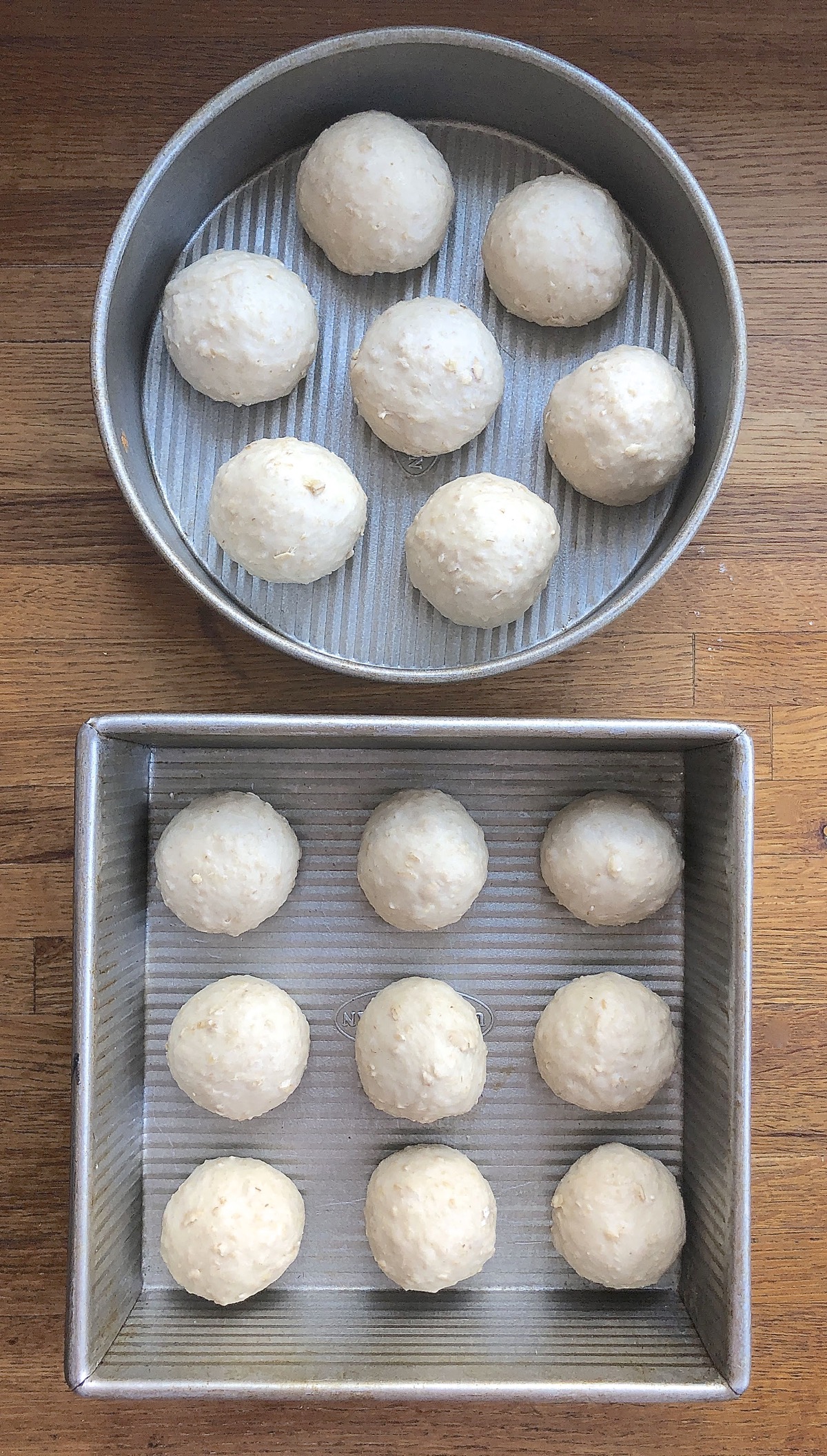 Oatmeal bread dough shaped into rolls and spaced in pans, ready to rise