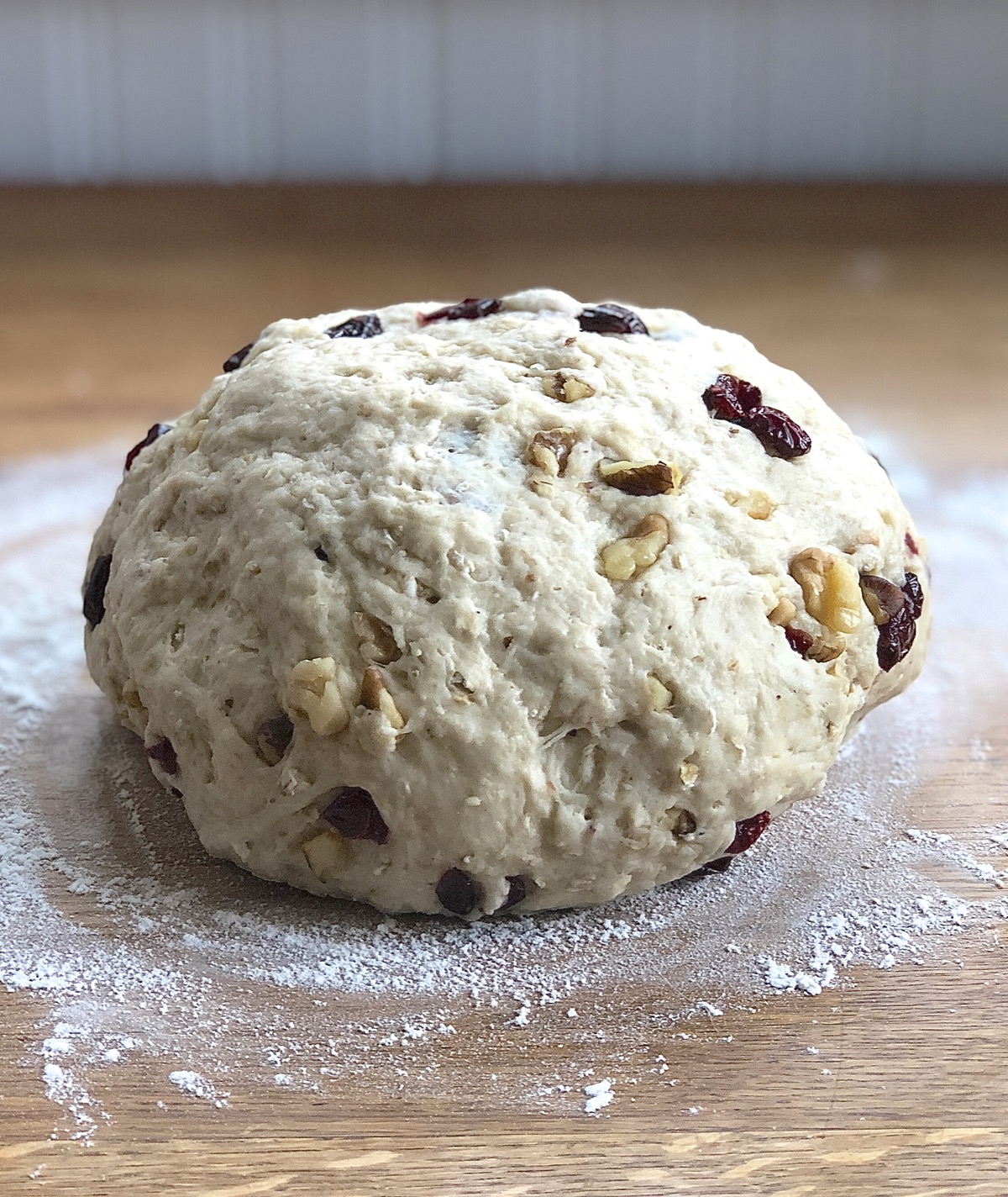 Oatmeal bread dough with dried cranberries and chopped walnuts kneaded in